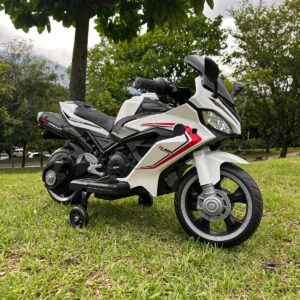 MOTO ELECTRICA (R-E400)