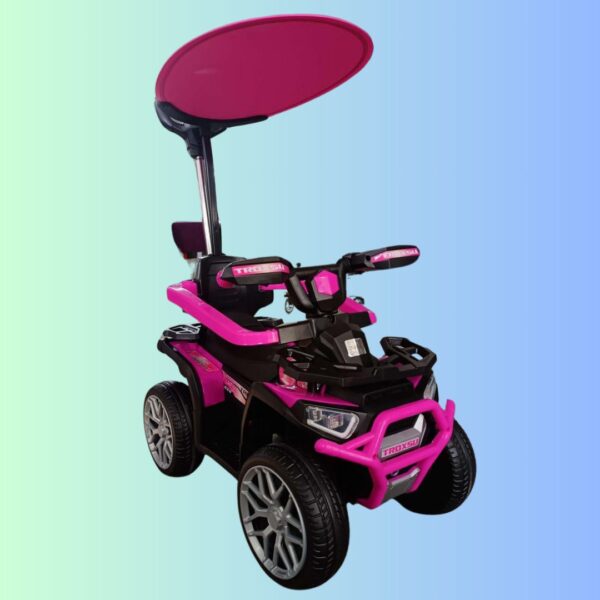 CARRO ELECTRICO Y PASEADOR CON CONTROL (R-07M) - Imagen 2