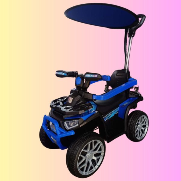 CARRO ELECTRICO Y PASEADOR CON CONTROL (R-07M) - Imagen 3