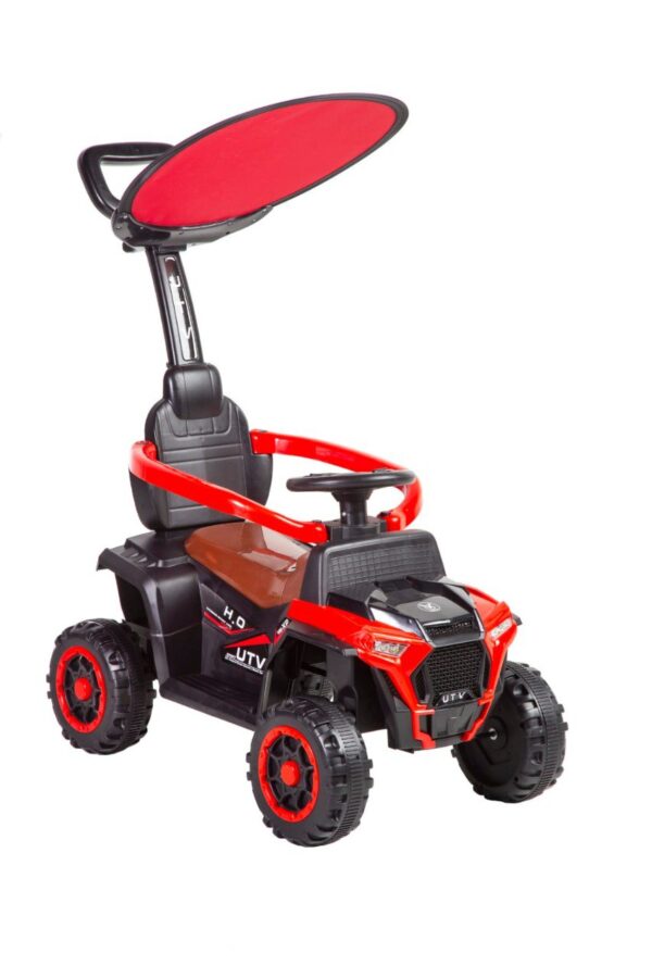 CARRO PASEADOR CON CONTROL GRANDE (R-08) - Imagen 2