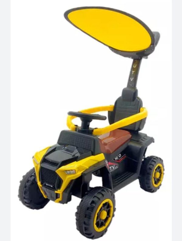 CARRO PASEADOR CON CONTROL GRANDE (R-08) - Imagen 3