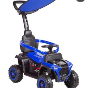 CARRO PASEADOR CON CONTROL GRANDE