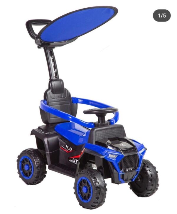 CARRO PASEADOR CON CONTROL GRANDE (R-08)
