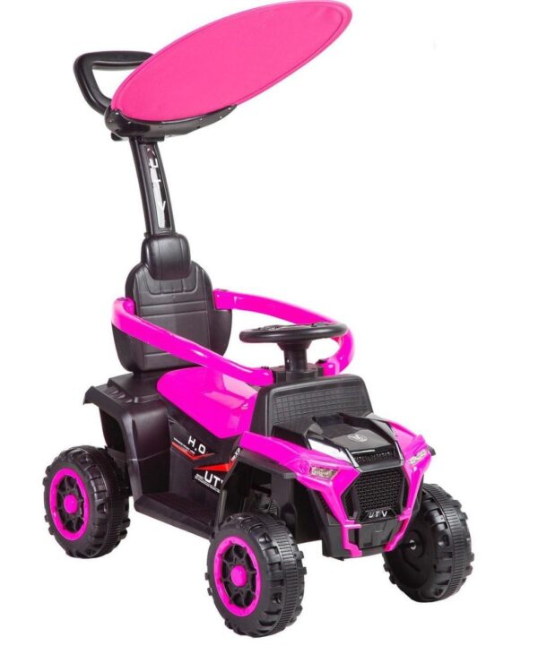 CARRO PASEADOR CON CONTROL GRANDE (R-08) - Imagen 5