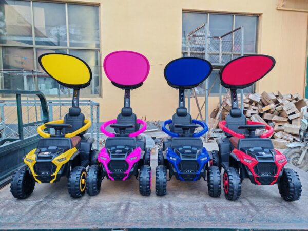 CARRO PASEADOR CON CONTROL GRANDE (R-08) - Imagen 6